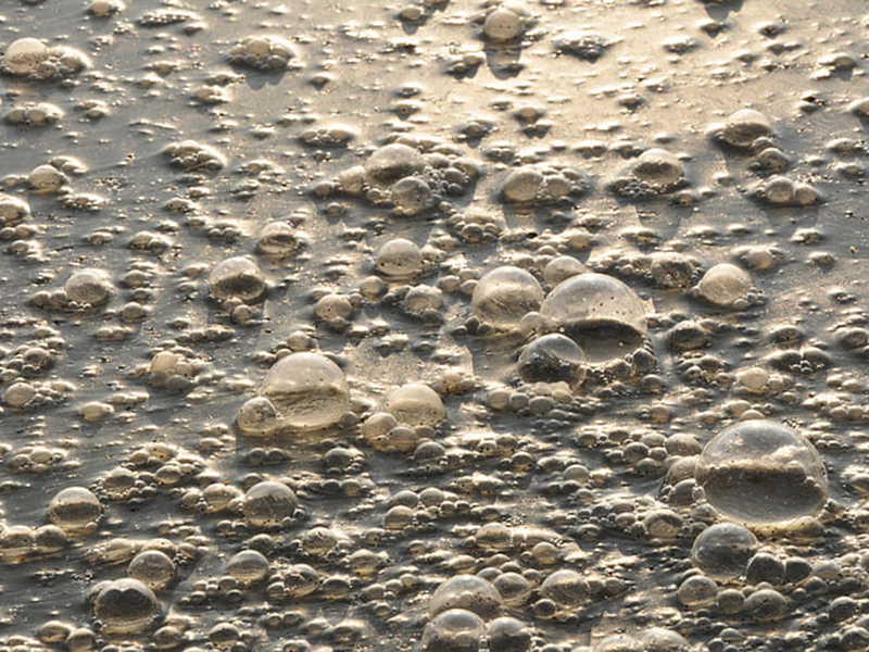 檢測工業污水可以用在線氨氮檢測儀嗎？