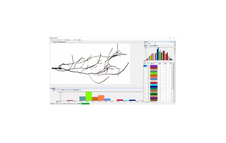 植物根系分析系統