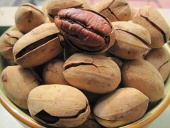 碧根果苗種植，怎樣的土壤*合適？