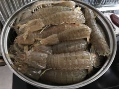 皮皮蝦中為什么會(huì)被檢測出鎘超標(biāo)？