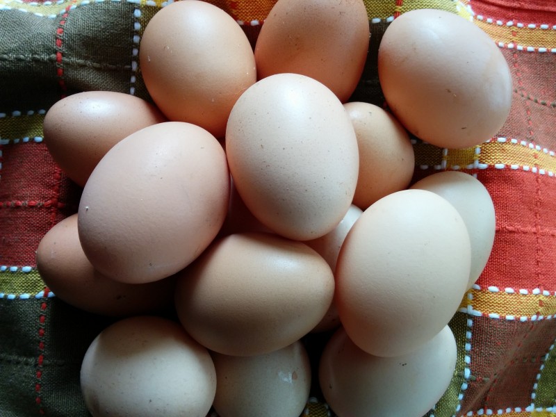 雞蛋藥物殘留檢測儀可檢測哪些 雞蛋藥物殘留檢測儀可檢測哪些