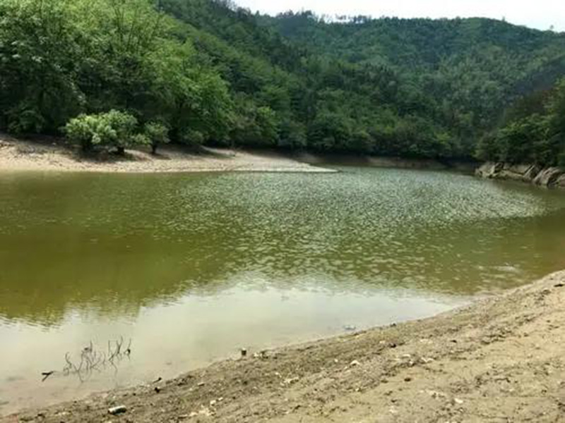 水產養殖檢測儀,為水源保護提供精準數據 水產養殖檢測儀,為水源保護提供精準數據