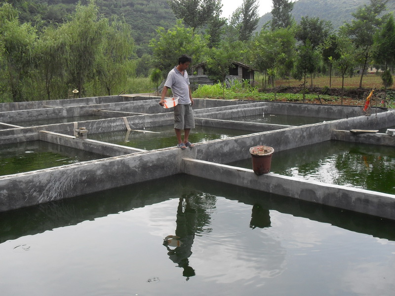 水中硫化氫檢測(cè)儀，可以為水產(chǎn)養(yǎng)殖做什么